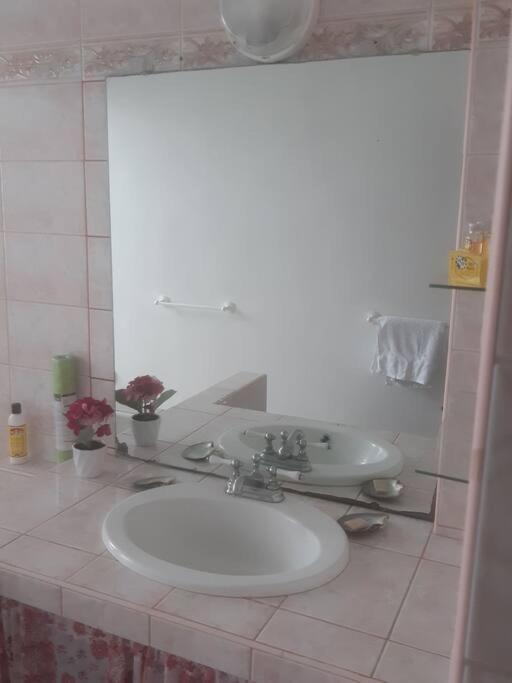 Revolution Tahiti Appartement Papeete  Buitenkant foto
